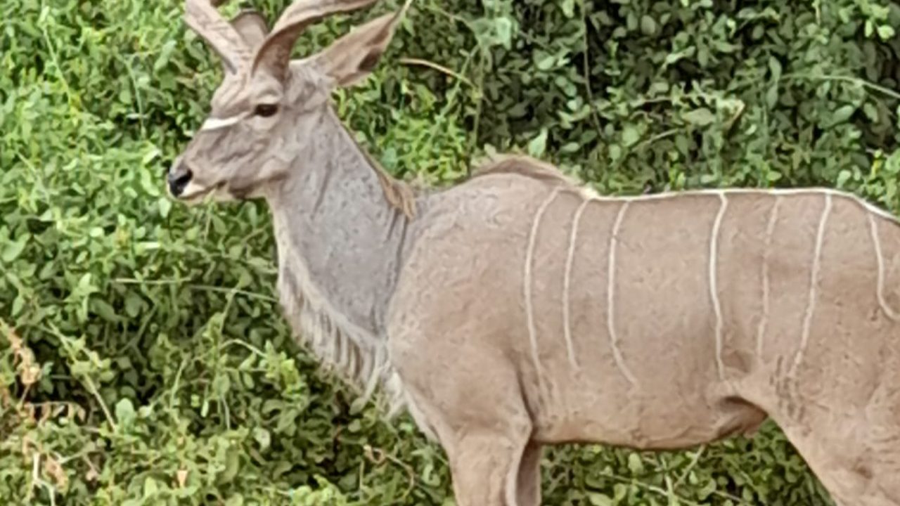 WhatsApp Image 2023-08-31 at 9.34.51 PM (1)