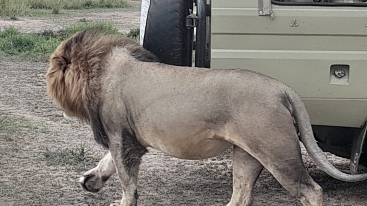 WhatsApp Image 2023-08-31 at 9.34.53 PM