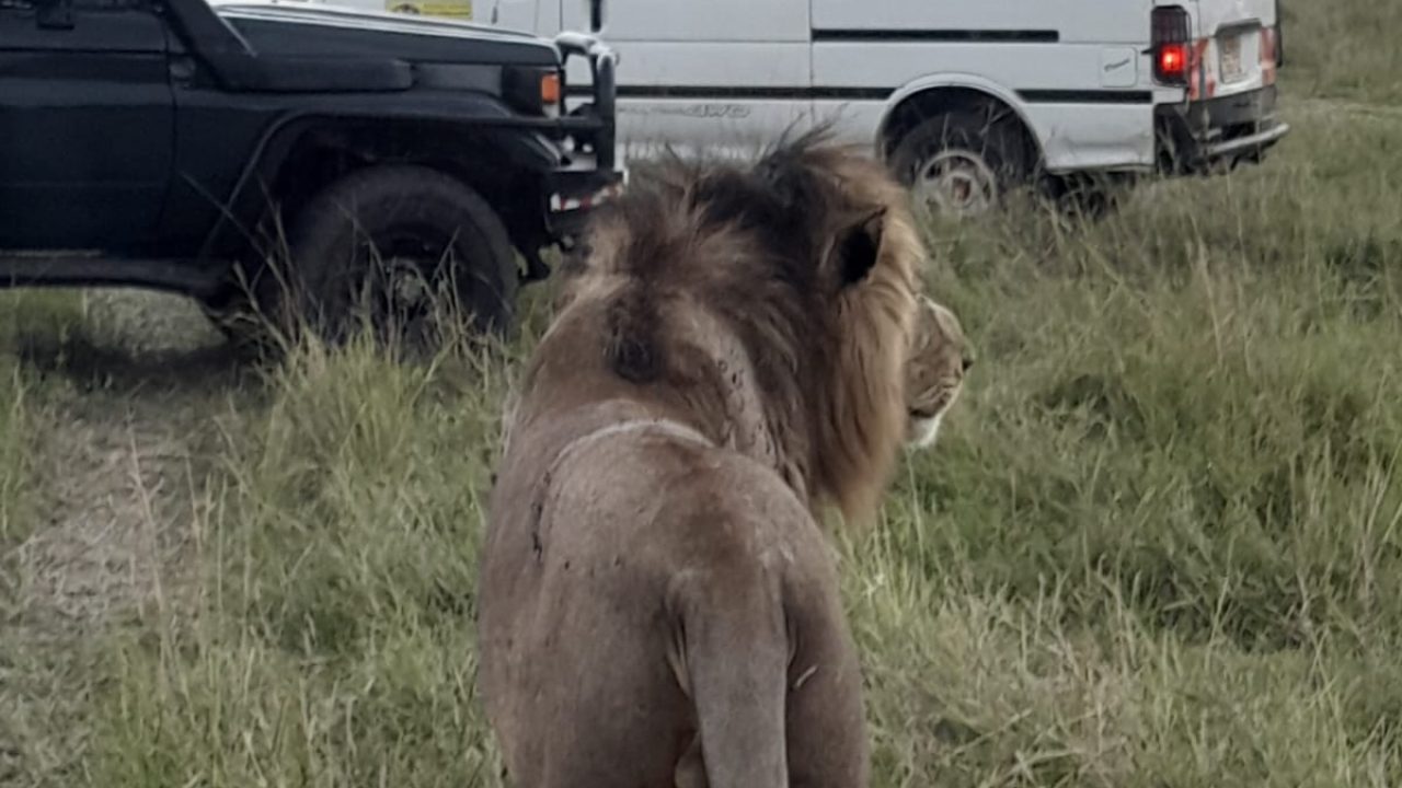 WhatsApp Image 2023-08-31 at 9.34.54 PM