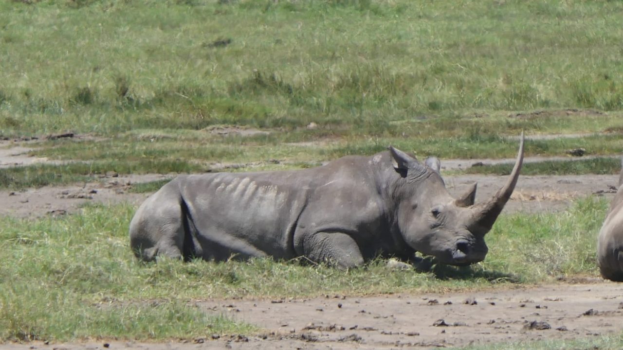 WhatsApp Image 2023-08-31 at 9.50.06 PM (1)