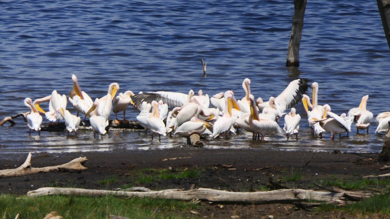 WhatsApp Image 2023-08-31 at 9.50.07 PM