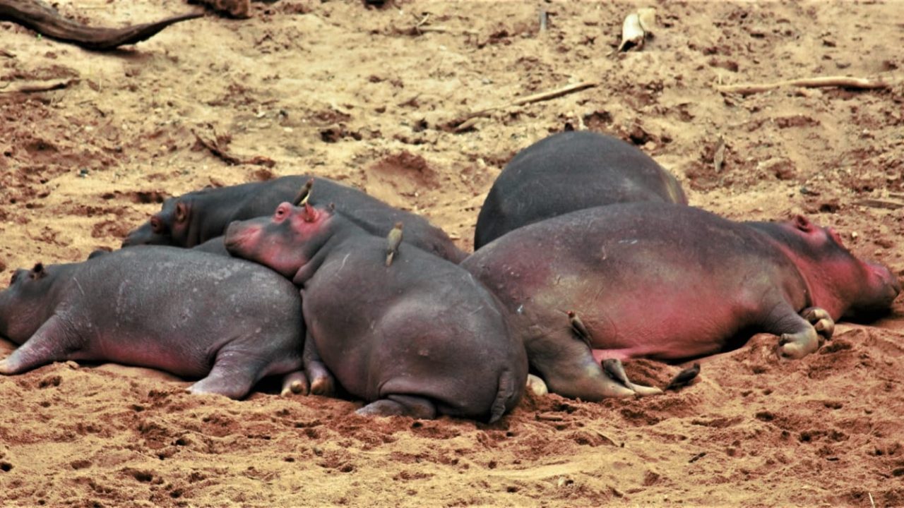 WhatsApp Image 2023-08-31 at 9.50.10 PM (1)