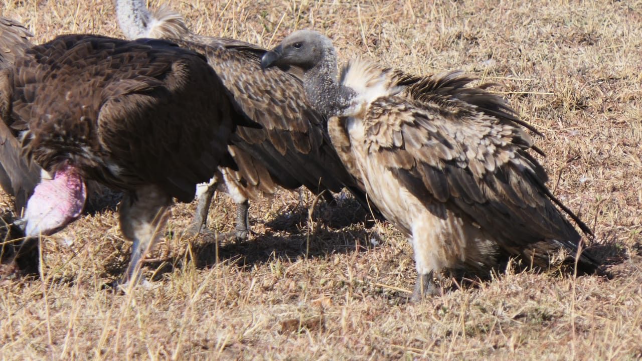 WhatsApp Image 2023-08-31 at 9.50.10 PM (2)