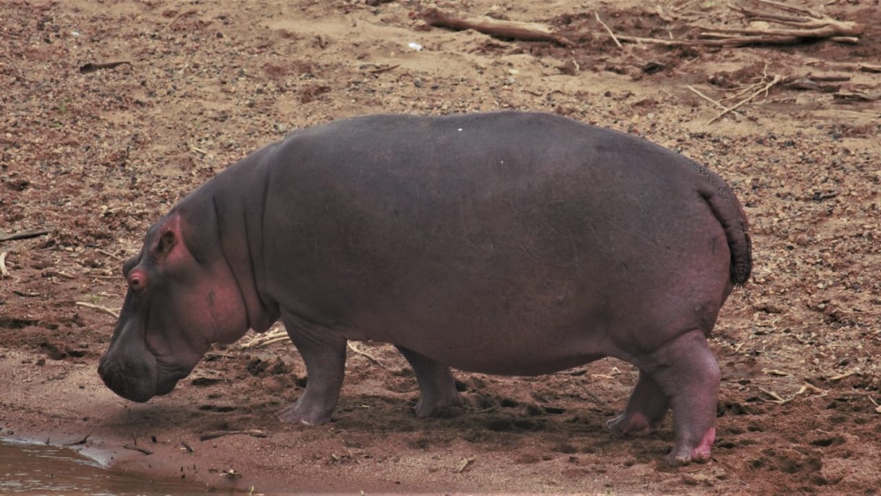 WhatsApp Image 2023-08-31 at 9.50.10 PM