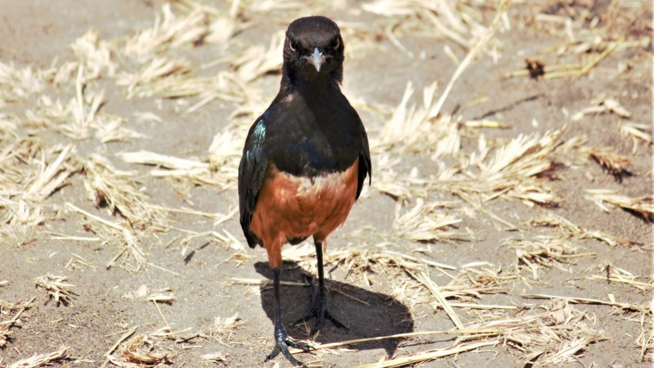 WhatsApp Image 2023-08-31 at 9.50.11 PM (1)