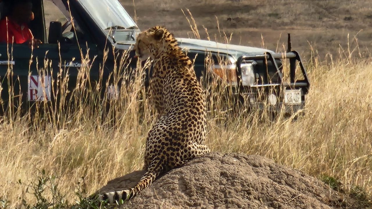 WhatsApp Image 2023-08-31 at 9.50.12 PM (3)